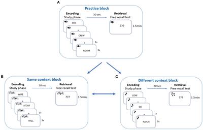 Contextual reinstatement affects semantic organization